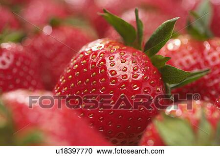 Stock Image - Strawberries, close-up. Fotosearch