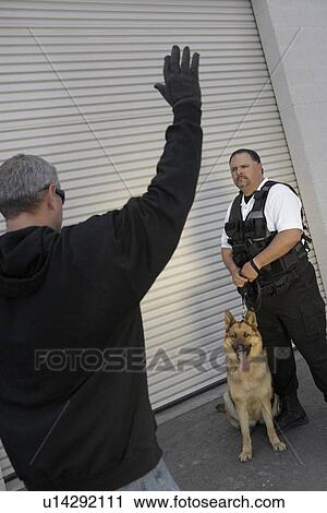 Stock Image - Thief with raised arms and security guard with dog. Fotosearch