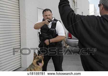 Stock Image - Thief with raised arms and security guard with dog. Fotosearch