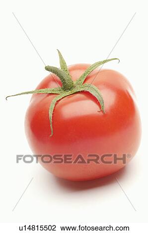 Stock Image - Tomato on white background. Fotosearch