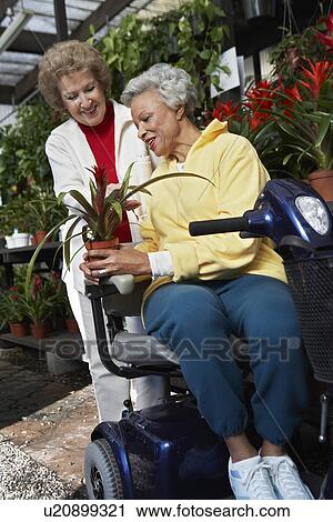 Stock Image - Two senior women in garden center. Fotosearch