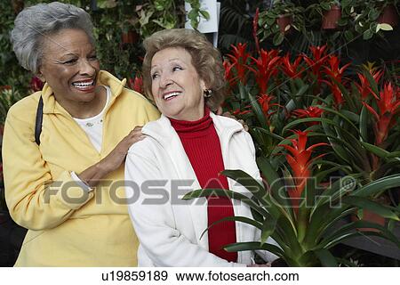 Two senior women in garden center View Large Photo Image Stock Photo - Two senior women in garden center. Fotosearch