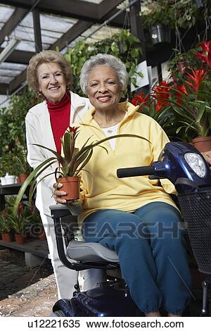 Stock Photography - Two senior women in garden center. Fotosearch