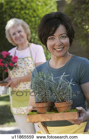 Two women gardening, focus woman in foreground View Large Photo Image Stock Photo - Two women gardening, focus woman in foreground. Fotosearch