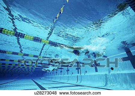 Stock Photo - Underwater view of swimmers in pool. Fotosearch