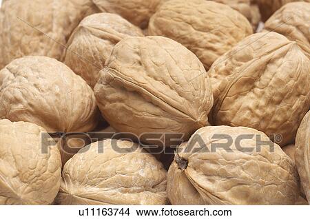 Picture - Walnuts, close-up. Fotosearch