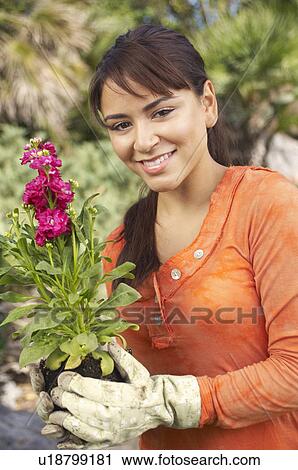 Woman wearing gardening gloves and holding flower View Large Photo Image Stock Image - Woman wearing gardening gloves and holding flower. Fotosearch