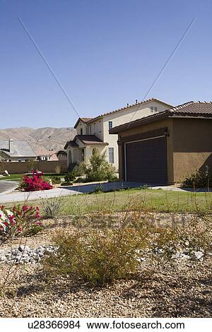 Picture - Yard in New Housing Development. Fotosearch
