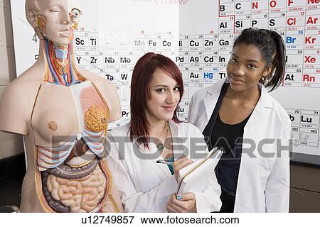 Stock Photo - Anatomy Students. Fotosearch