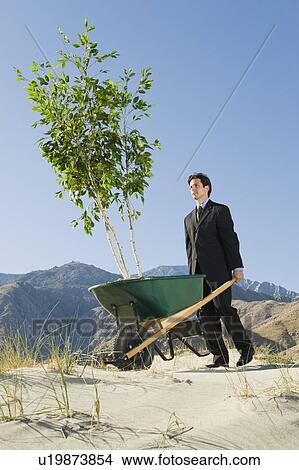 Picture - Businessman Pushing Wheelbarrow and Tree in the Desert. Fotosearch