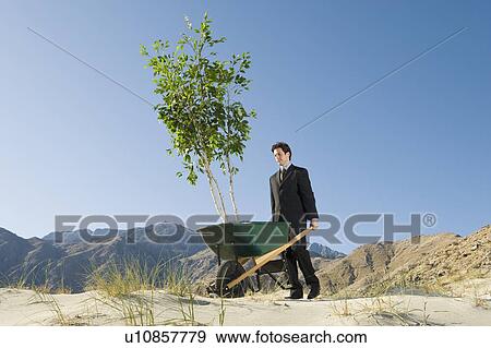 Stock Photo - Businessman Pushing Wheelbarrow and Tree in the Desert. Fotosearch