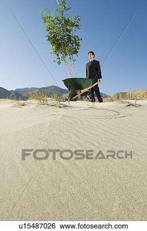 Stock Photograph - Businessman Pushing Wheelbarrow and Tree in the Desert. Fotosearch