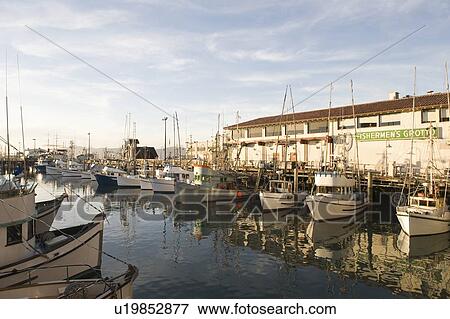 Californian harbour View Large Photo Image Stock Photo - Californian harbour. Fotosearch