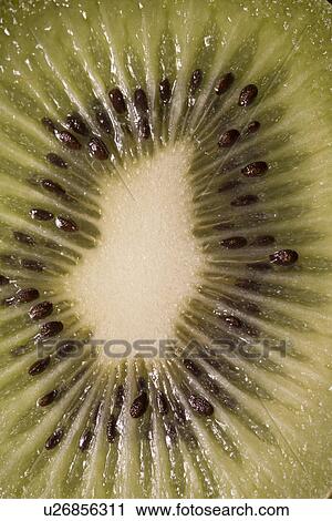 Close-Up View Of Sliced Kiwi Fruit View Large Photo Image Stock Image - Close-Up View Of Sliced Kiwi Fruit. Fotosearch