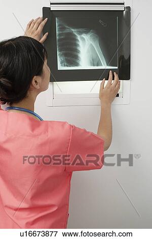 Doctor examining x-ray in hospital View Large Photo Image Stock Photo - Doctor examining x-ray in hospital. Fotosearch