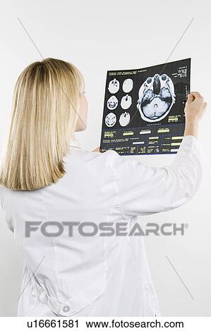 Stock Image - Doctor with xray. Fotosearch