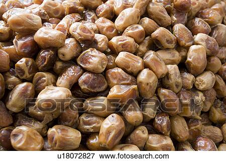 Stock Photo - Dubai, UAE, Dates one of many fresh produce for sale at Shindagha Market in Bur Dubai. Fotosearch