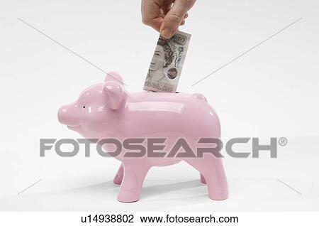 Hand putting banknote into piggy bank View Large Photo Image Stock Image - Hand putting banknote into piggy bank. Fotosearch