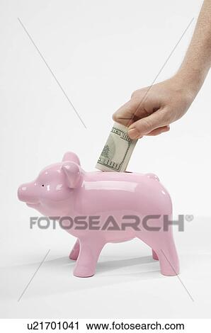 Hand Putting Money in Piggy Bank View Large Photo Image Stock Image - Hand Putting Money in Piggy Bank. Fotosearch