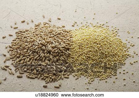 Heaps of grain View Large Photo Image Stock Image - Heaps of grain. Fotosearch