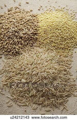 Stock Image - Heaps of grain. Fotosearch