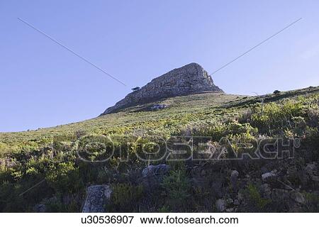 Stock Photo - Lions Head Mountain, sister peak to Table Mountain, South Africa. Fotosearch