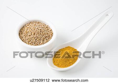 Stock Image - Mustard seeds and turmeric. Fotosearch