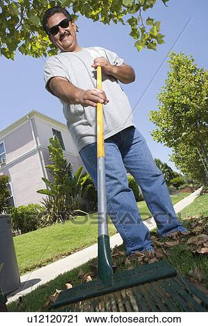 Stock Image - Portrait of man raking lawn in garden. Fotosearch