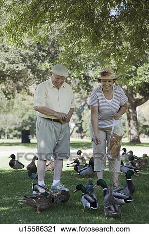 Stock Image - Senior couple feeding ducks. Fotosearch
