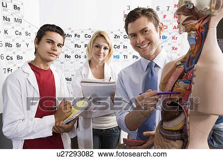 Teacher Giving Anatomy Lesson View Large Photo Image Stock Image - Teacher Giving Anatomy Lesson. Fotosearch