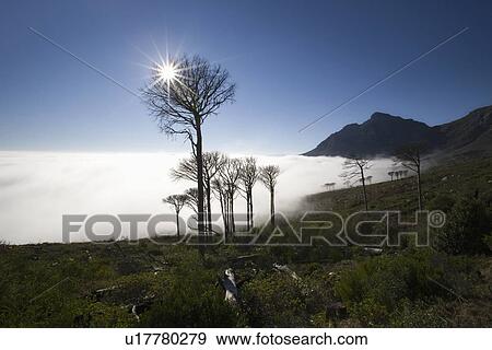 Stock Photo - View of the Devils Peak from the foot of Table Mountain. Fotosearch