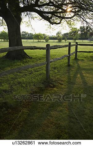 Wooden fence and tree on field View Large Photo Image Stock Image - Wooden fence and tree on field. Fotosearch