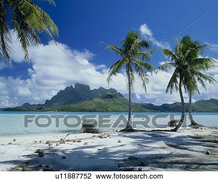 Beach of Bora Bora Island, Tahiti View Large Photo Image Stock Image - Beach of Bora Bora Island, Tahiti. Fotosearch