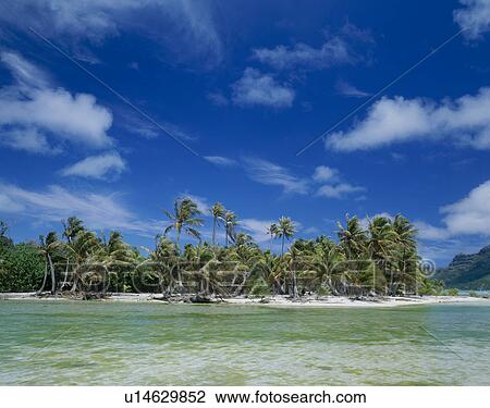 Stock Image - Beach of Bora Bora Island, Tahiti. Fotosearch