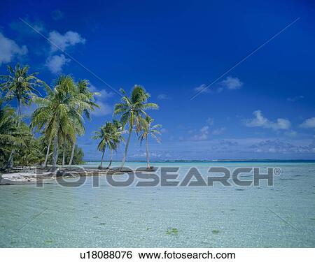 Beach of Bora Bora Island, Tahiti View Large Photo Image Stock Photograph - Beach of Bora Bora Island, Tahiti. Fotosearch