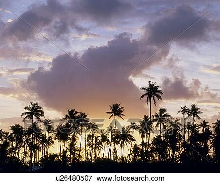 Stock Photo - Bora Bora Island, Tahiti. Fotosearch
