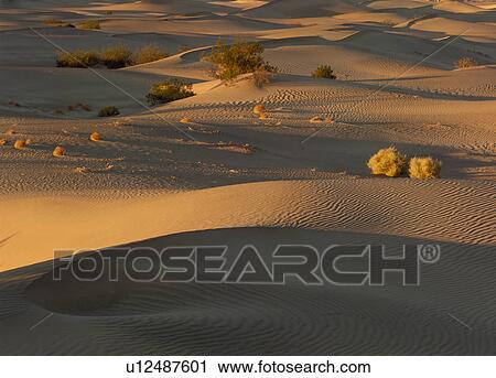 Stock Image - Death Valley National Park, California, USA. Fotosearch
