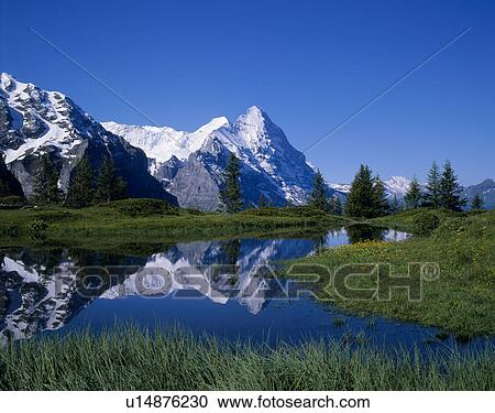 Stock Image - Eiger, Grindelwald, Bern, Switzerland. Fotosearch