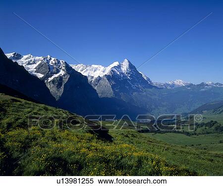 Stock Photography - Eiger, Grindelwald, Bern, Switzerland. Fotosearch