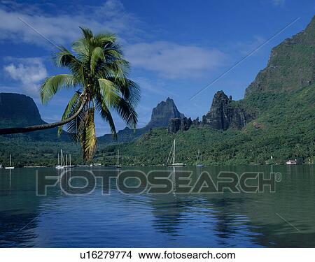 Picture - Moorea Island, Tahiti. Fotosearch