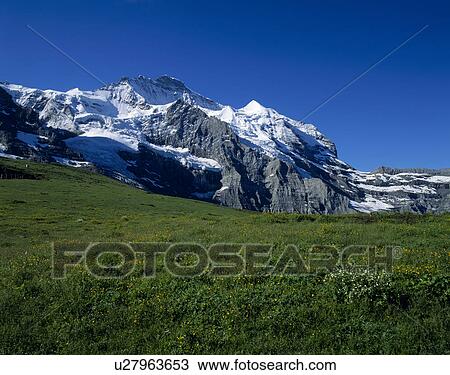 Mountains, Jungfrau, Bern, Switzerland View Large Photo Image Stock Image - Mountains, Jungfrau, Bern, Switzerland. Fotosearch