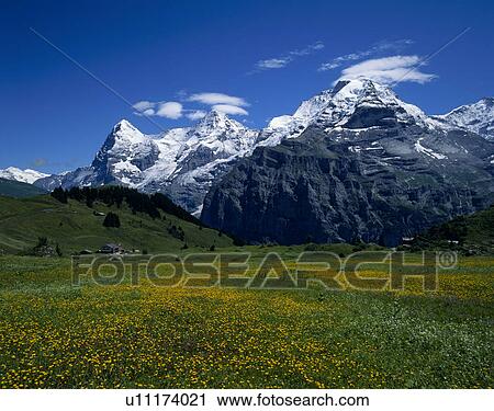 Stock Image - Murren, Eigar, Monch, Jungfrau, Bern, Switzerland. Fotosearch
