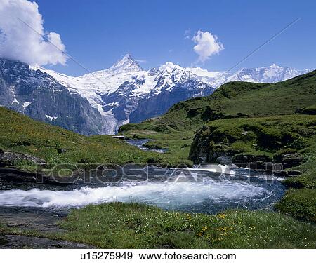 Stock Photo - Schreckhorn, Grindelwald, Bern, Switzerland. Fotosearch