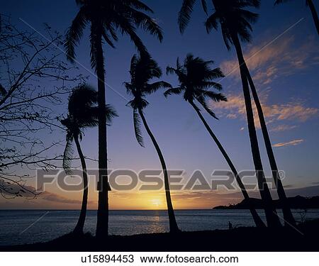 Sunset of Bora Bora Island, Tahiti View Large Photo Image Stock Image - Sunset of Bora Bora Island, Tahiti. Fotosearch
