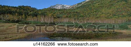Stock Photograph - Tsugaike Natural Park, Otari, Kitaazumi, Nagano, Japan. Fotosearch