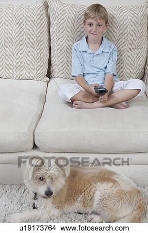 Boy sits on sofa with pet dog watching television View Large Photo Image Picture - Boy sits on sofa with pet dog watching television. Fotosearch