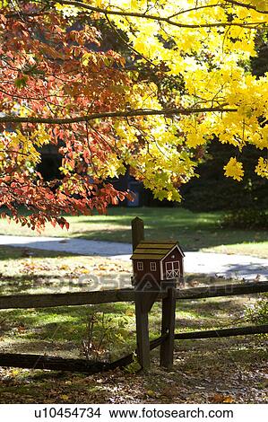Picture - Autumn birdhouse in The Hamptons, New York. Fotosearch
