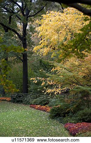 Autumn in Central Park in Manhattan, New York City, U. S. A. View Large Photo Image Stock Photo - Autumn in Central Park in Manhattan, New York City, U. S. A.. Fotosearch