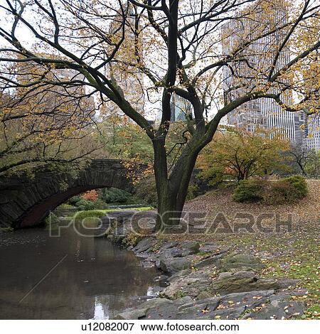 Autumn in Central Park in Manhattan, New York City, U. S. A. View Large Photo Image Stock Photo - Autumn in Central Park in Manhattan, New York City, U. S. A.. Fotosearch