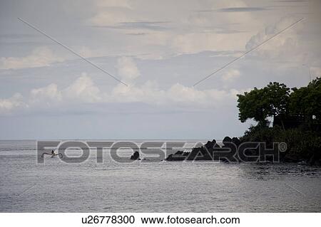Stock Image - Bali coastline. Fotosearch